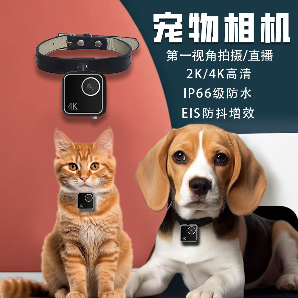 Animal cat dog pet camera firs - Cameras recension och pris
