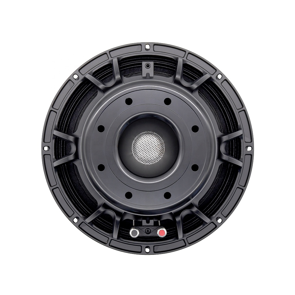 12DS Pro Audio Equipment 12''  - Speakers recension och pris